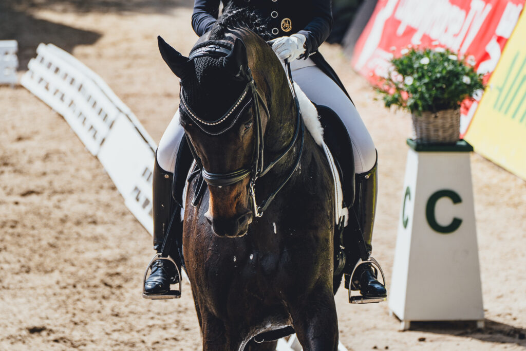 deutsches spring und dressur derby 2024