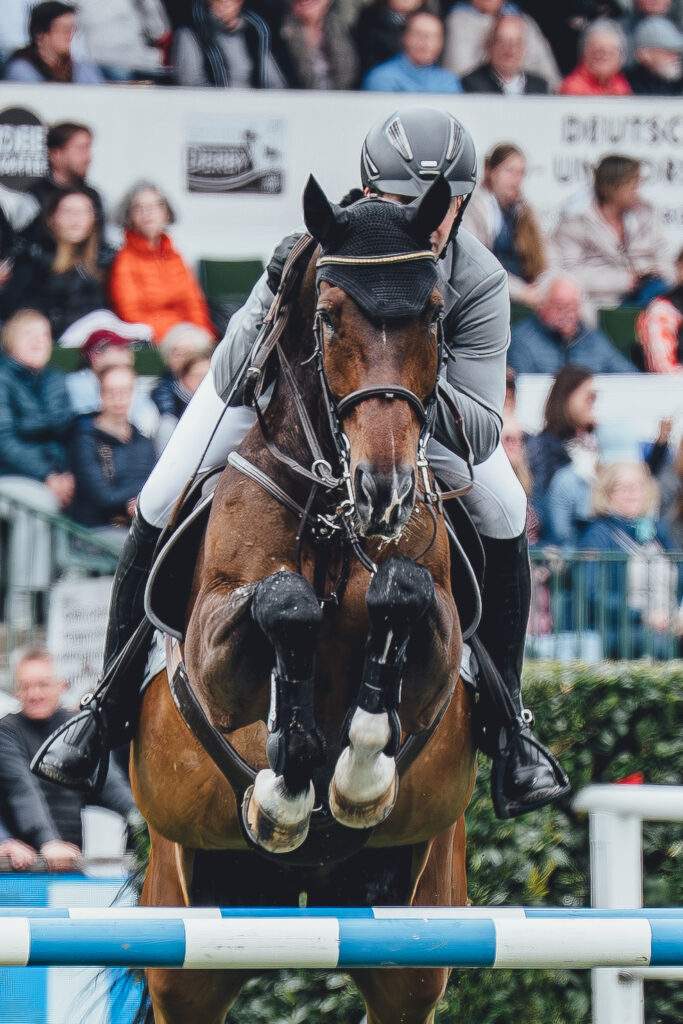 deutsches spring und dressur derby 2023